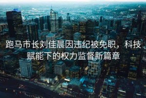 跑馬市長(zhǎng)劉佳晨因違紀(jì)被免職，科技賦能下的權(quán)力監(jiān)督新篇章