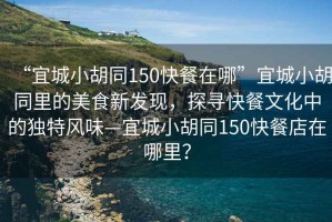 “宜城小胡同150快餐在哪”宜城小胡同里的美食新發現，探尋快餐文化中的獨特風味—宜城小胡同150快餐店在哪里？