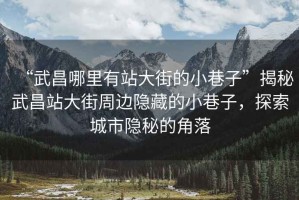 “武昌哪里有站大街的小巷子”揭秘武昌站大街周邊隱藏的小巷子，探索城市隱秘的角落