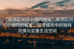 “雙流區50元小胡同地址”雙流區50元小胡同的秘密，探尋城市中的獨特風情與實惠生活空間