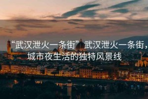 “武漢泄火一條街”武漢泄火一條街，城市夜生活的獨特風景線