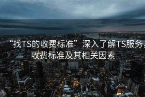 “找TS的收費標準”深入了解TS服務，收費標準及其相關因素