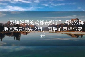 “雙碑好耍的雞都去哪了”揭秘雙碑地區(qū)雞只消失之謎，背后的真相與變遷