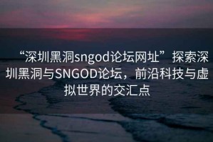 “深圳黑洞sngod論壇網(wǎng)址”探索深圳黑洞與SNGOD論壇，前沿科技與虛擬世界的交匯點