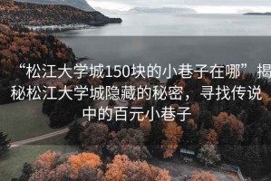 “松江大學城150塊的小巷子在哪”揭秘松江大學城隱藏的秘密，尋找傳說中的百元小巷子