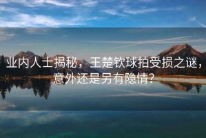 業內人士揭秘，王楚欽球拍受損之謎，意外還是另有隱情？
