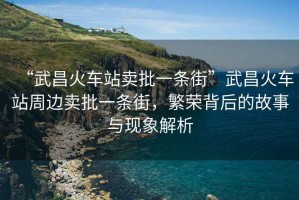 “武昌火車站賣批一條街”武昌火車站周邊賣批一條街，繁榮背后的故事與現象解析
