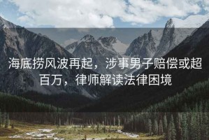 海底撈風波再起，涉事男子賠償或超百萬，律師解讀法律困境