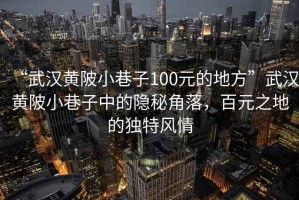 “武漢黃陂小巷子100元的地方”武漢黃陂小巷子中的隱秘角落，百元之地的獨特風情