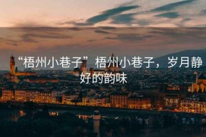 “梧州小巷子”梧州小巷子，歲月靜好的韻味