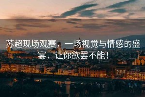 蘇超現場觀賽，一場視覺與情感的盛宴，讓你欲罷不能！