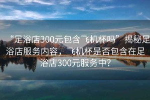 “足浴店300元包含飛機杯嗎”揭秘足浴店服務內容，飛機杯是否包含在足浴店300元服務中？
