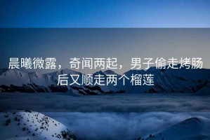 晨曦微露，奇聞兩起，男子偷走烤腸后又順走兩個榴蓮