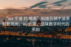 “wx 寧波 約 喝茶”科技引領寧波茶敘新風尚，wx約茶，品味數字時代的茶韻