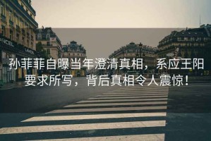 孫菲菲自曝當年澄清真相，系應王陽要求所寫，背后真相令人震驚！