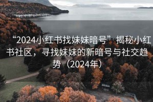 “2024小紅書找妹妹暗號”揭秘小紅書社區(qū)，尋找妹妹的新暗號與社交趨勢（2024年）