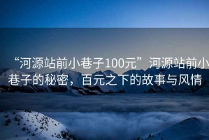 “河源站前小巷子100元”河源站前小巷子的秘密，百元之下的故事與風情