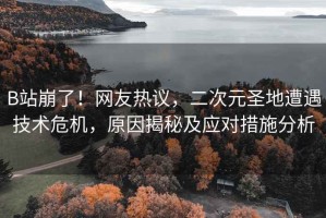 B站崩了！網友熱議，二次元圣地遭遇技術危機，原因揭秘及應對措施分析