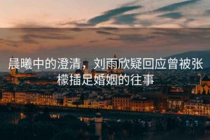 晨曦中的澄清，劉雨欣疑回應(yīng)曾被張檬插足婚姻的往事