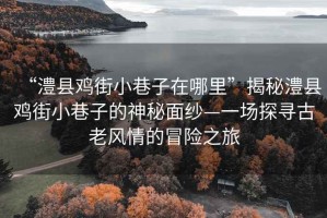 “澧縣雞街小巷子在哪里”揭秘澧縣雞街小巷子的神秘面紗—一場探尋古老風情的冒險之旅