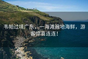 韋帕過境廣東，一海灘遍地海鮮，游客驚喜連連！