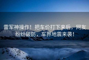 雷軍神操作！把車價打下來后，網(wǎng)友紛紛破防，車界地震來襲！