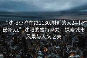 “沈陽空降在線1130.附近的人24小時最新.cc”沈陽的獨特魅力，探索城市風(fēng)景與人文之美