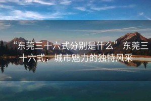 “東莞三十六式分別是什么”東莞三十六式，城市魅力的獨特風采