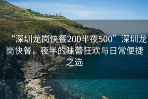 “深圳龍崗快餐200半夜500”深圳龍崗快餐，夜半的味蕾狂歡與日常便捷之選