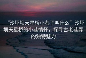 “沙坪壩天星橋小巷子叫什么”沙坪壩天星橋的小巷情懷，探尋古老巷弄的獨(dú)特魅力