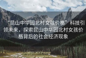 “昆山中華園北村女孩價格”科技引領未來，探索昆山中華園北村女孩價格背后的社會經濟現象