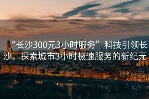 “長沙300元3小時服務(wù)”科技引領(lǐng)長沙，探索城市3小時極速服務(wù)的新紀(jì)元