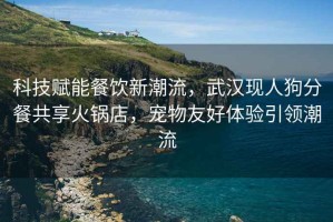 科技賦能餐飲新潮流，武漢現人狗分餐共享火鍋店，寵物友好體驗引領潮流