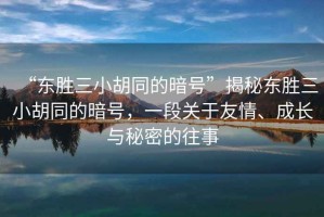 “東勝三小胡同的暗號”揭秘東勝三小胡同的暗號，一段關于友情、成長與秘密的往事