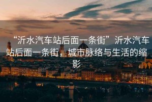 “沂水汽車站后面一條街”沂水汽車站后面一條街，城市脈絡與生活的縮影