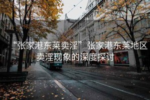 “張家港東萊賣淫”張家港東萊地區賣淫現象的深度探討