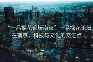 “一品探花論壇南京”一品探花論壇在南京，科技與文化的交匯點