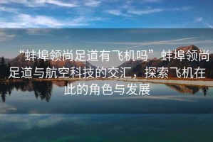 “蚌埠領尚足道有飛機嗎”蚌埠領尚足道與航空科技的交匯，探索飛機在此的角色與發展
