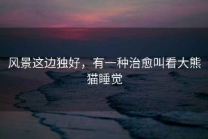 風景這邊獨好，有一種治愈叫看大熊貓睡覺