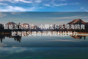 智能互動(dòng)體驗(yàn)，小朋友仰頭喂海鷗竟被海鷗反喂奇觀再現(xiàn)科技魅力