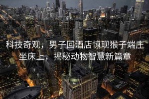 科技奇觀，男子回酒店驚現(xiàn)猴子端莊坐床上，揭秘動物智慧新篇章