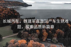 長城汽車，魏建軍直面國產車生銹難題，探索品質新篇章