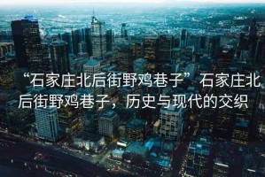 “石家莊北后街野雞巷子”石家莊北后街野雞巷子，歷史與現(xiàn)代的交織