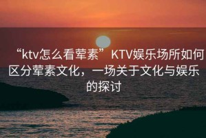 “ktv怎么看葷素”KTV娛樂(lè)場(chǎng)所如何區(qū)分葷素文化，一場(chǎng)關(guān)于文化與娛樂(lè)的探討