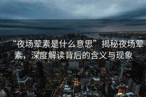 “夜場葷素是什么意思”揭秘夜場葷素，深度解讀背后的含義與現象