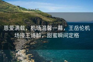 恩愛滿載，機場溫馨一幕，王岳倫機場接王詩齡，甜蜜瞬間定格