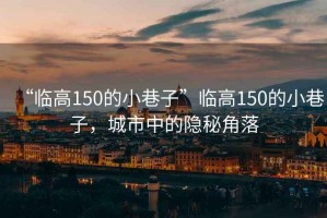 “臨高150的小巷子”臨高150的小巷子，城市中的隱秘角落