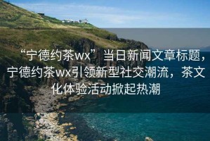 “寧德約茶wx”當日新聞文章標題，寧德約茶wx引領新型社交潮流，茶文化體驗活動掀起熱潮