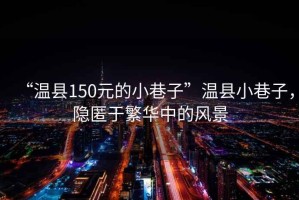 “溫縣150元的小巷子”溫縣小巷子，隱匿于繁華中的風景