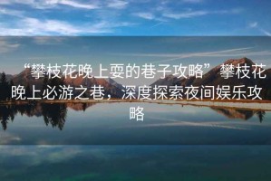 “攀枝花晚上耍的巷子攻略”攀枝花晚上必游之巷，深度探索夜間娛樂攻略